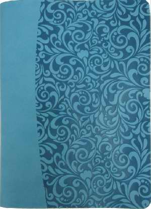 Amplified The Everyday Life Bible Leatherette Turquoise - Joyce Meyer